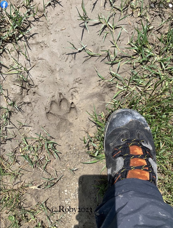 Schermata 2023-03-23 alle 20.45.14 copia