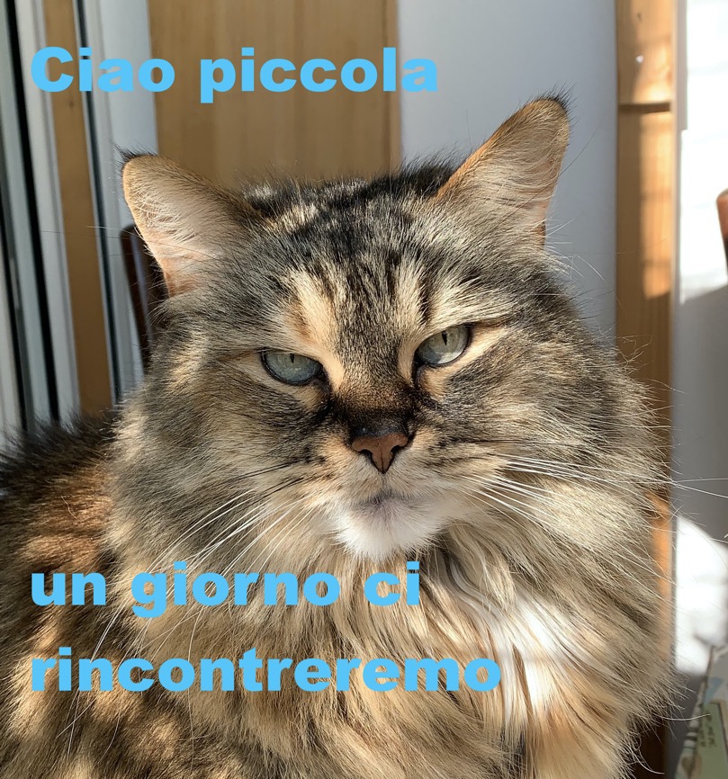 Ciao piccola