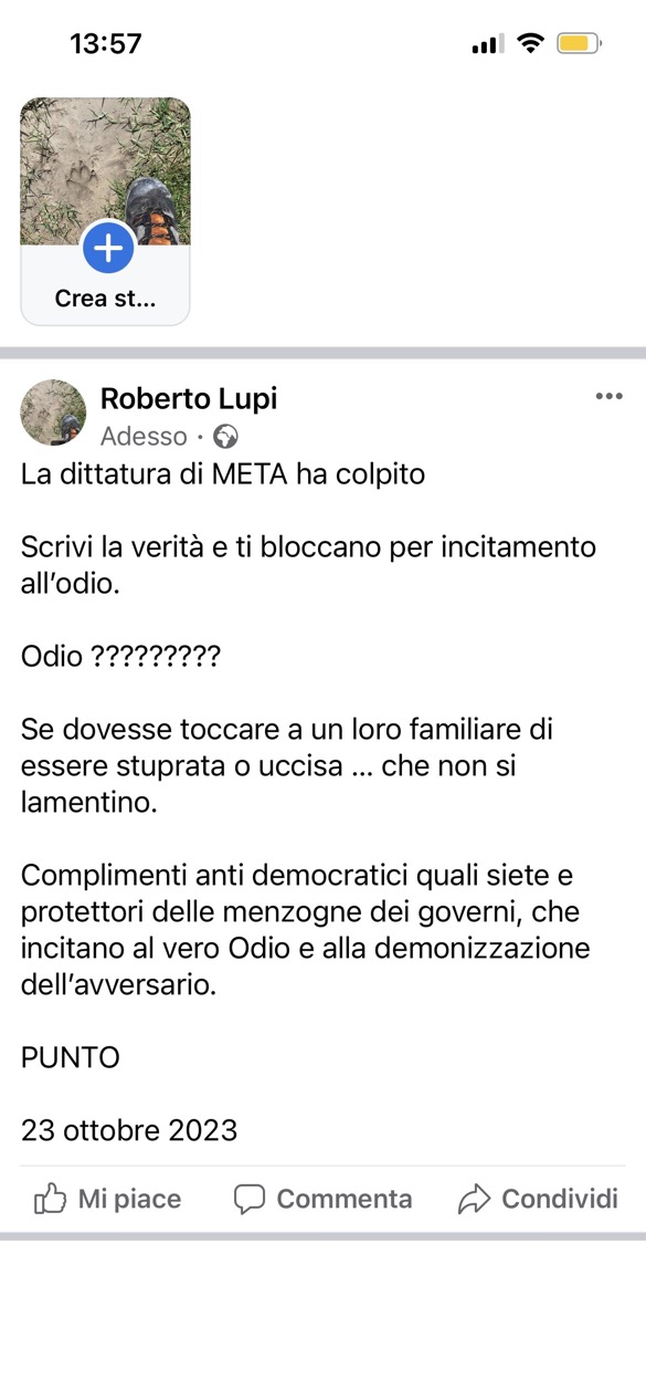 su META - FB 2