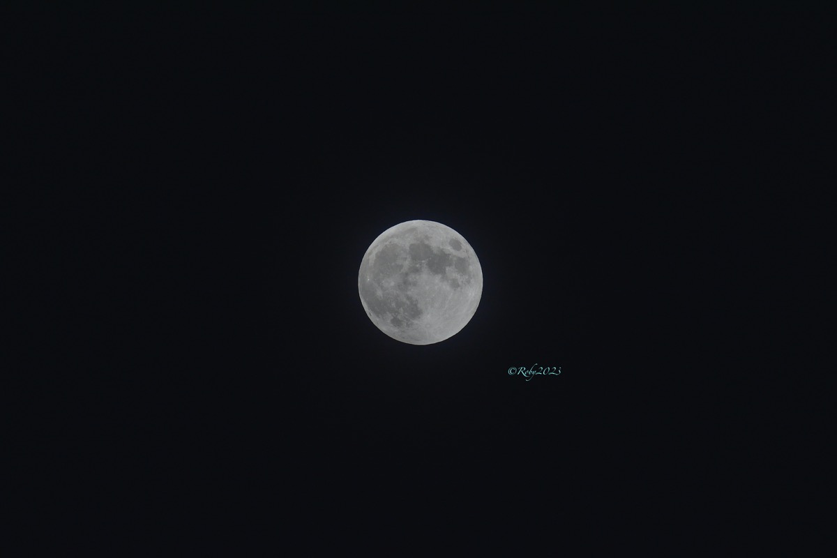 H 21.41 _01A6994