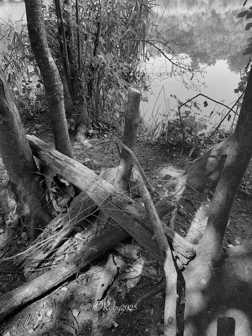 la via Eco Minchia occidentale 2