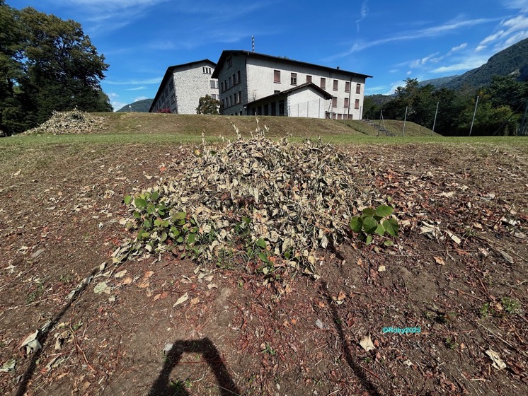 Poligono del Giappone 1