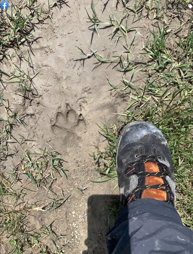 Schermata 2023-03-23 alle 20.45.14 copia