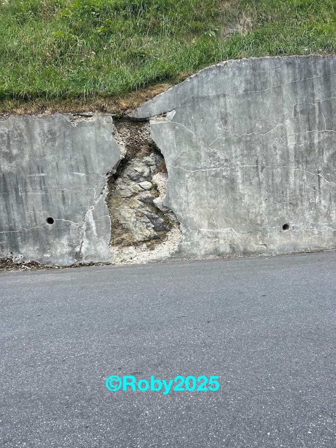 le immagini (2) copia