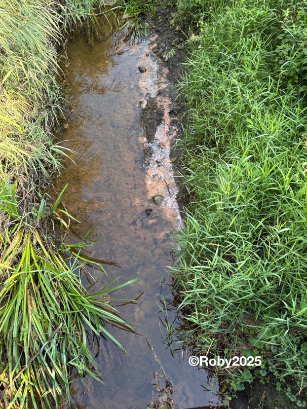 Bolle e normale questo