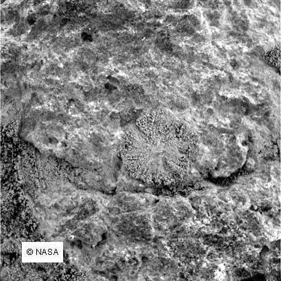 SOL 386-2M160631672EFFA2K1P2957M2M1 copia