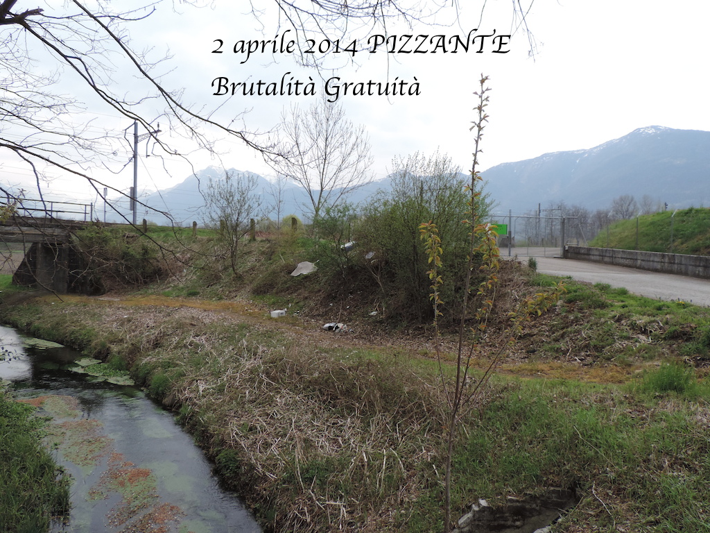 Brutatlità Gratuita9