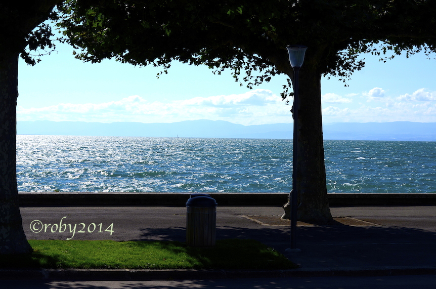 Migrazione Impossibile 2014