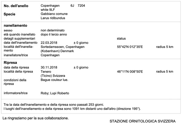 1 Schermata 2023-02-20 alle 19.03.37