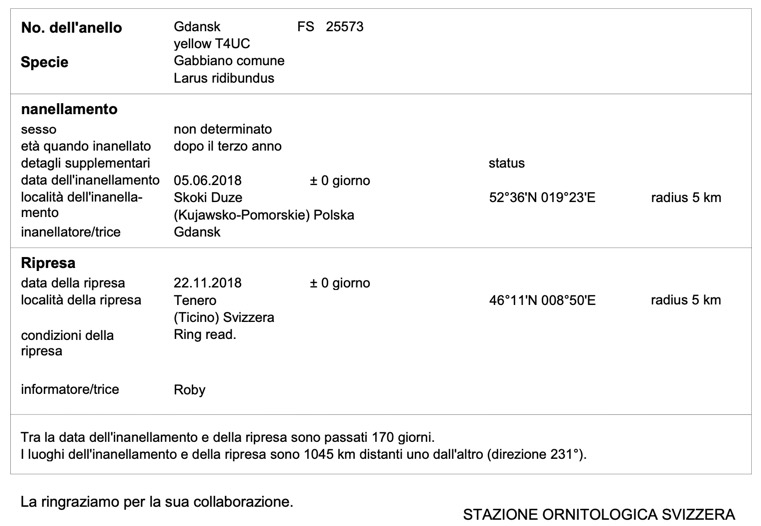Schermata 2023-02-20 alle 19.23.03