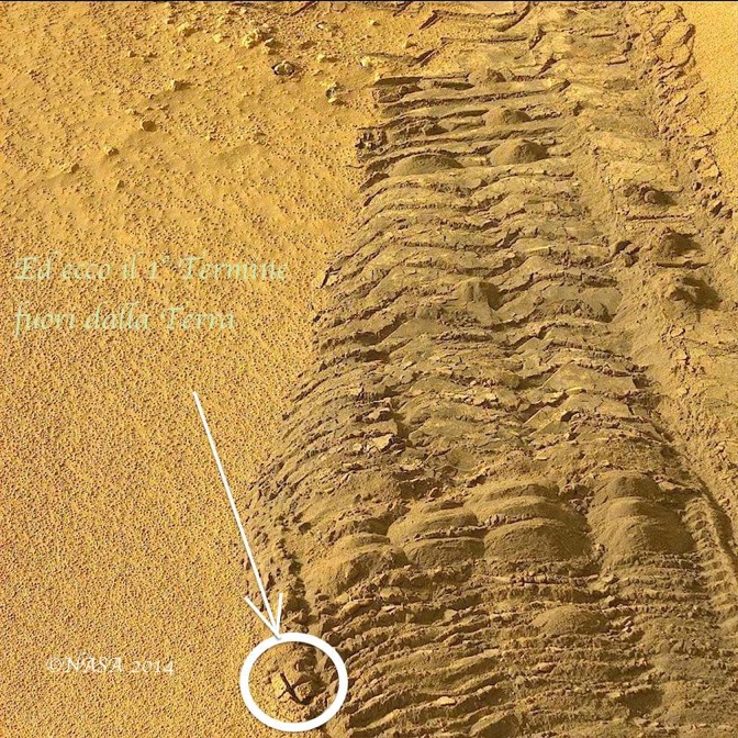 Aratura Sol 673