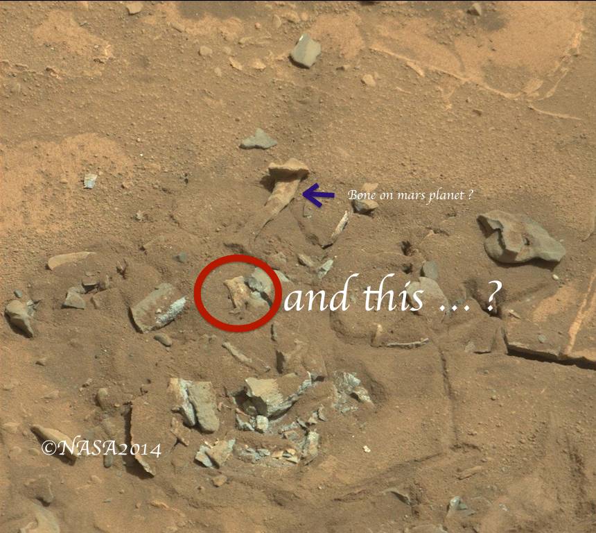 found a bone on mars