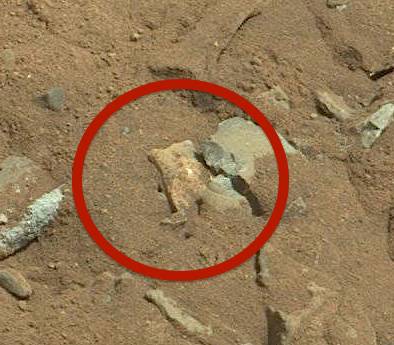 found a bone on mars2