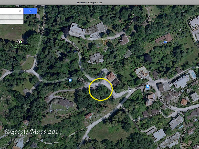 Gatto Abbanodnato 25di14c