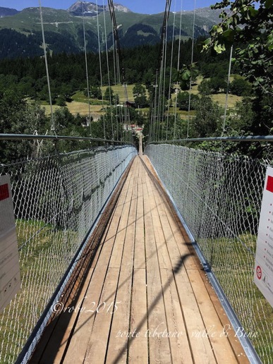 Tibetan bridge 2