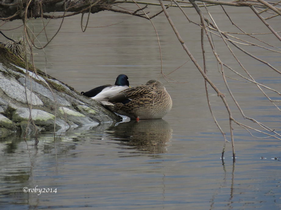 I signori della meteo 15