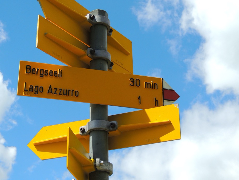 Phoenicurus Cartelli