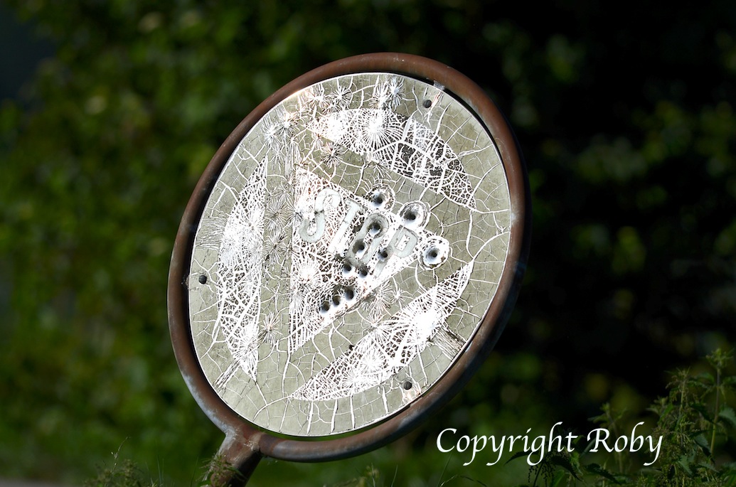 corvidi-e-contadini-2013