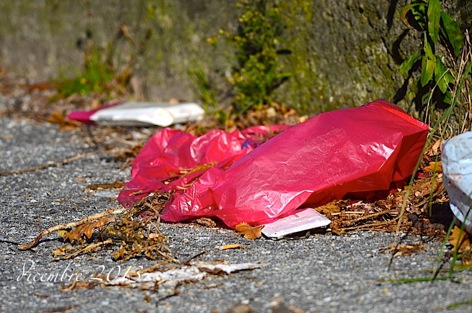 litterwatching-2013c