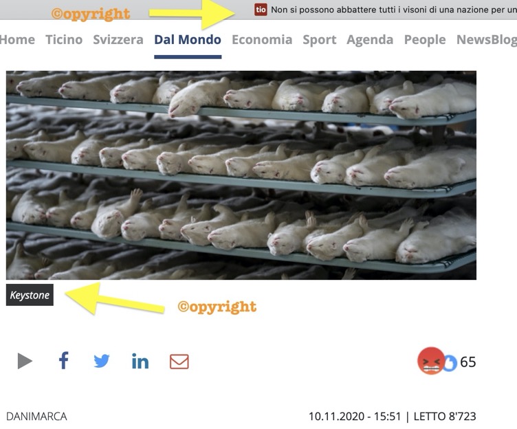 Schermata 2020-11-20 alle 12.52.55