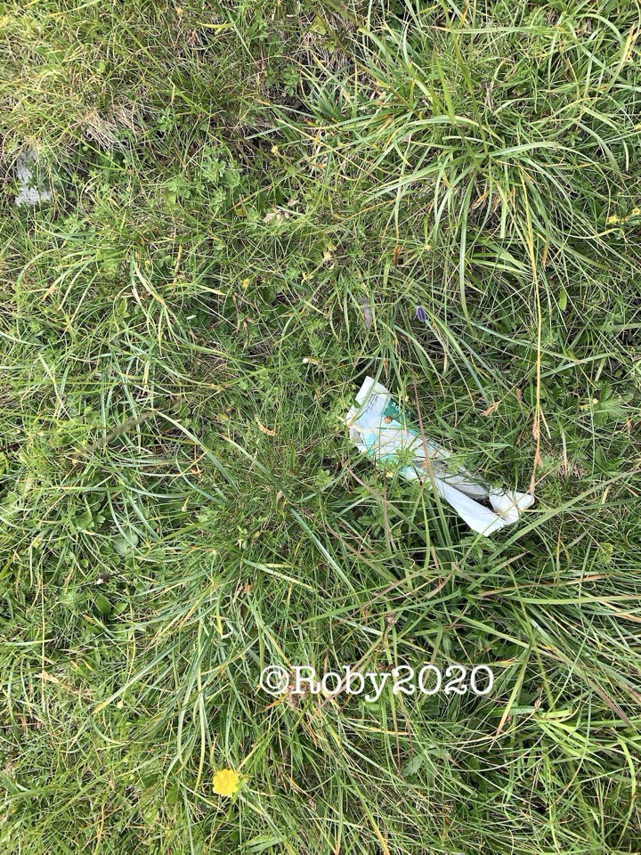 keep the mountains clean b