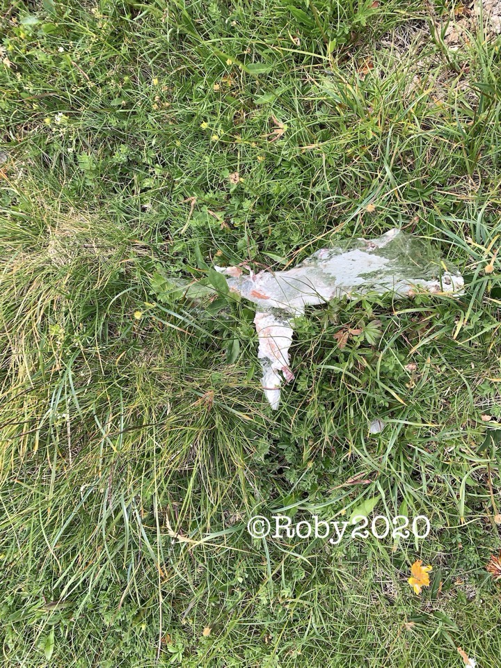 keep the mountains clean n