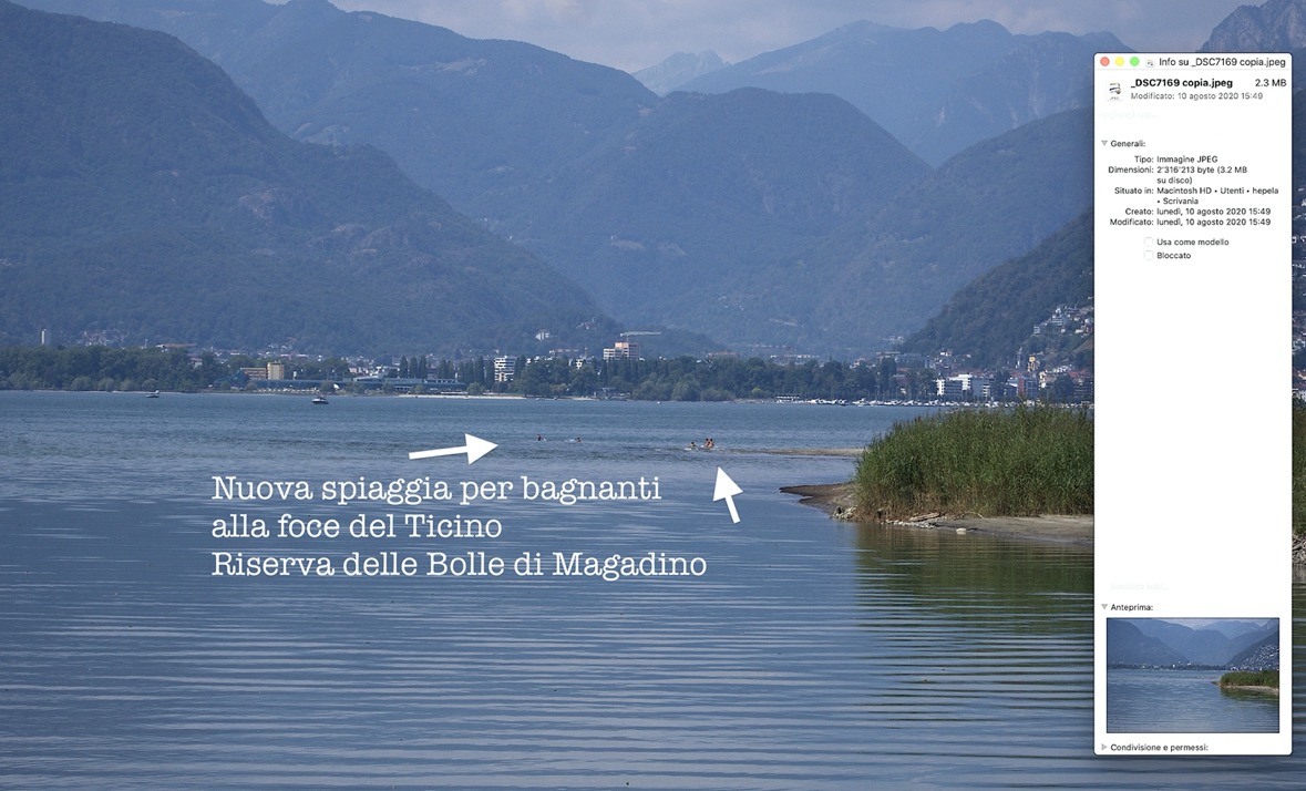 Schermata 2020-08-13 alle 10.10.40