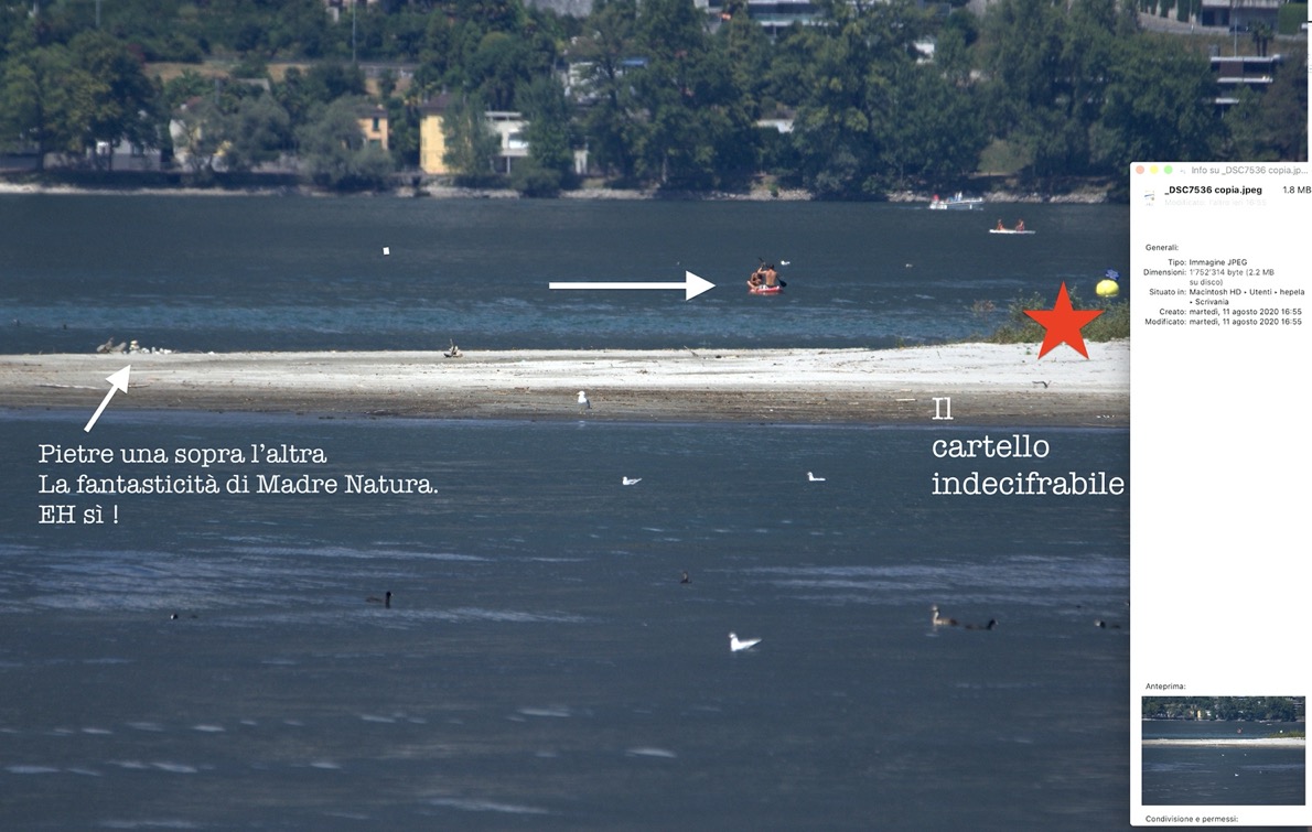 Schermata 2020-08-13 alle 10.11.05