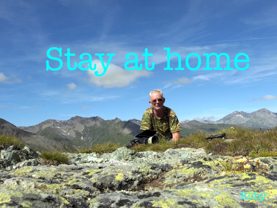 1 - DSCN8781 3 copia 3