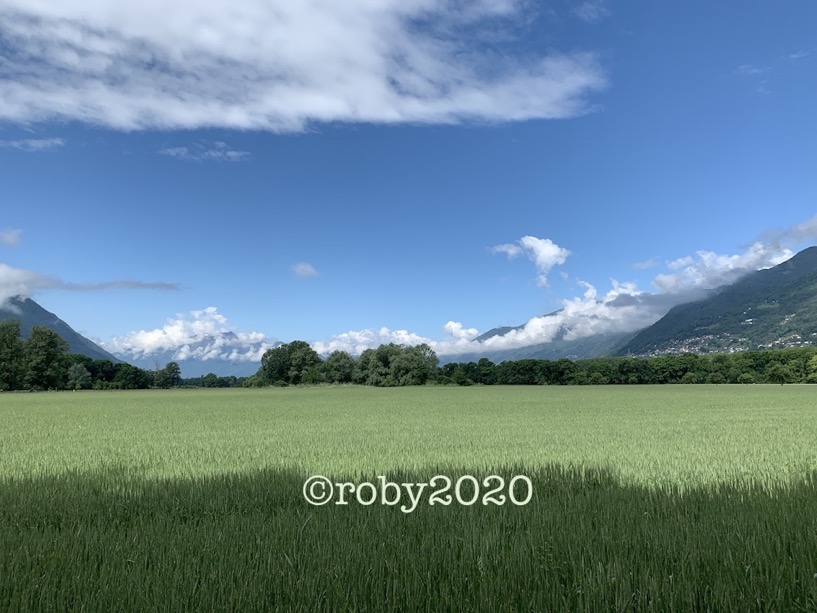 28 gradi a maggio 2020b