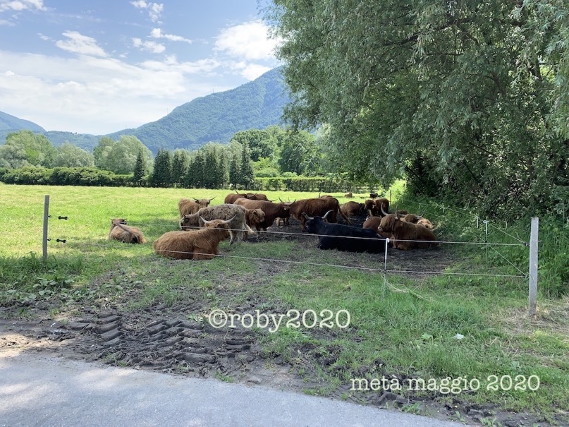 28 gradi a maggio 2020d