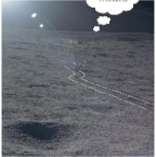 Houston Moon Humour 2010 (6)