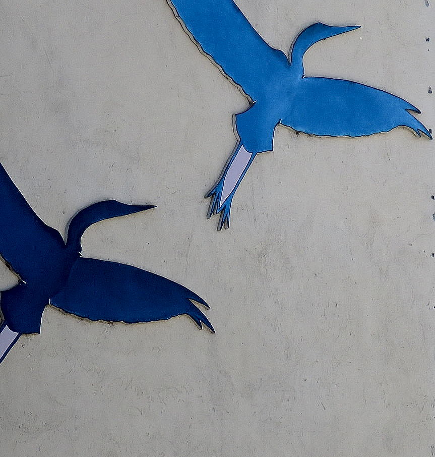 Ornitho 1 aprile 2015