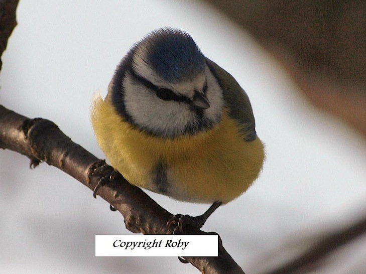 E Sempre Nel Luogo 2010