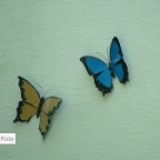 BICI  - 9 St.Niklaus LU