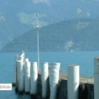 BICI  - 10 Niederhof (5)