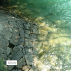 BICI  - 13 TellKappelle