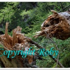 Lago Sfille 1O  (16)