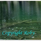 Lago Sfille 1O  (35)