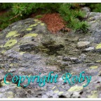 Lago Sfille 1O  (44)