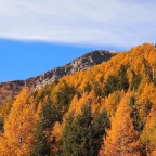 Ticino in Autumn 2014g