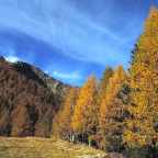 Ticino in Autumn 2014x