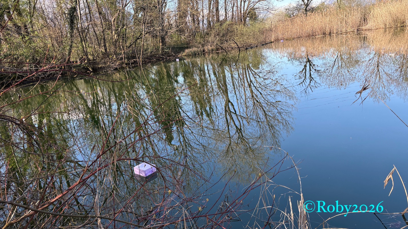 MIGRAZIONE e lago demanio 26