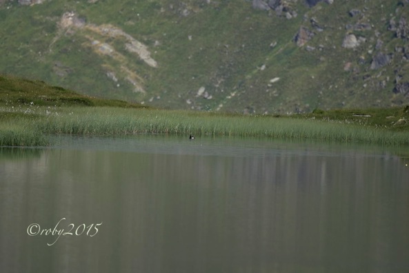 marscholsee-morettaf