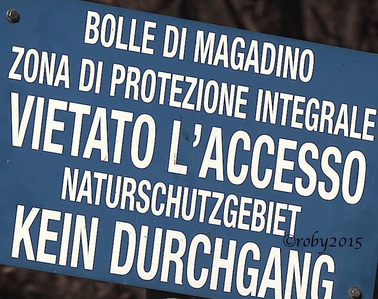 2-prepotenti-sacchi-pulci